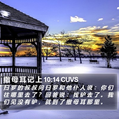 撒 母 耳 记 上 10:14 CUVS Bible Verse Image