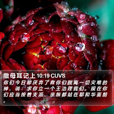 撒 母 耳 记 上 10:19 CUVS Bible Verse Image