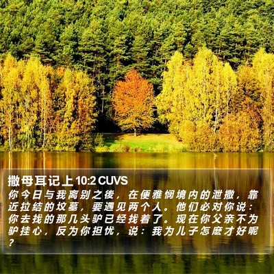 撒 母 耳 记 上 10:2 CUVS Bible Verse Image