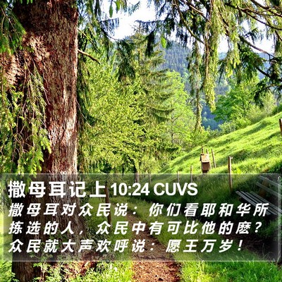 撒 母 耳 记 上 10:24 CUVS Bible Verse Image