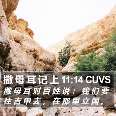 撒 母 耳 记 上 11:14 CUVS Bible Verse Image