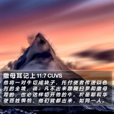 撒 母 耳 记 上 11:7 CUVS Bible Verse Image