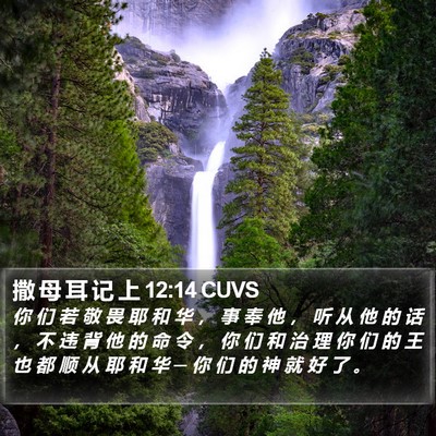撒 母 耳 记 上 12:14 CUVS Bible Verse Image