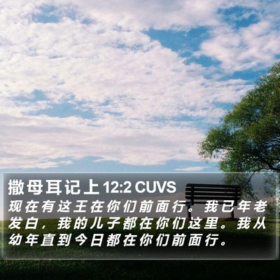 撒 母 耳 记 上 12:2 CUVS Bible Verse Image