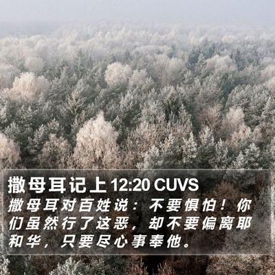 撒 母 耳 记 上 12:20 CUVS Bible Verse Image