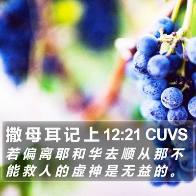 撒 母 耳 记 上 12:21 CUVS Bible Verse Image