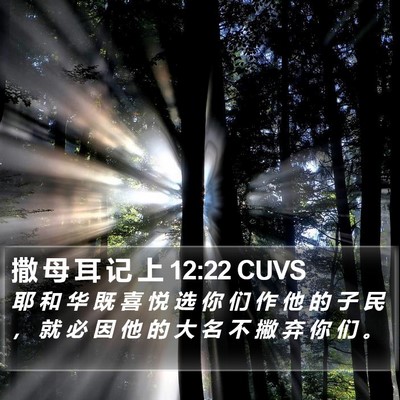 撒 母 耳 记 上 12:22 CUVS Bible Verse Image