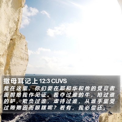撒 母 耳 记 上 12:3 CUVS Bible Verse Image