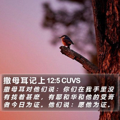 撒 母 耳 记 上 12:5 CUVS Bible Verse Image