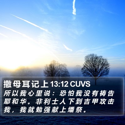撒 母 耳 记 上 13:12 CUVS Bible Verse Image