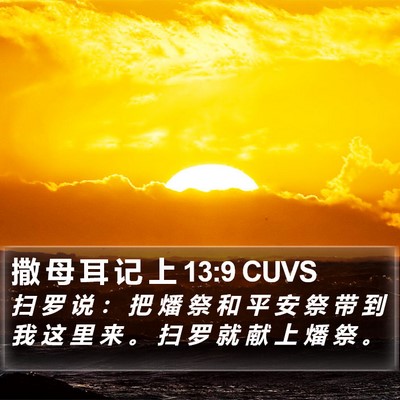 撒 母 耳 记 上 13:9 CUVS Bible Verse Image