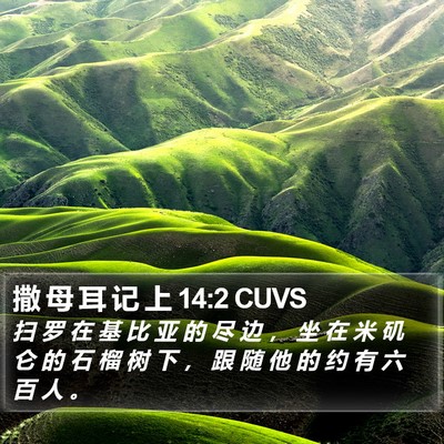 撒 母 耳 记 上 14:2 CUVS Bible Verse Image