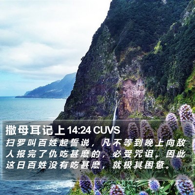 撒 母 耳 记 上 14:24 CUVS Bible Verse Image