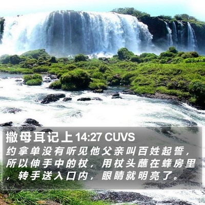 撒 母 耳 记 上 14:27 CUVS Bible Verse Image