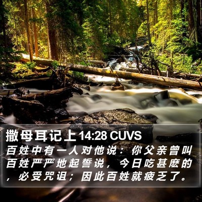 撒 母 耳 记 上 14:28 CUVS Bible Verse Image