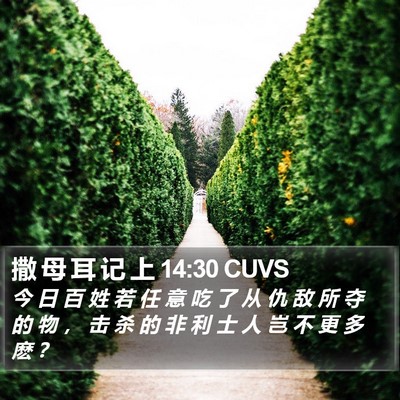 撒 母 耳 记 上 14:30 CUVS Bible Verse Image