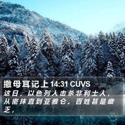 撒 母 耳 记 上 14:31 CUVS Bible Verse Image