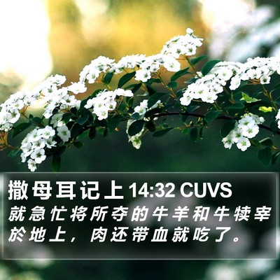 撒 母 耳 记 上 14:32 CUVS Bible Verse Image