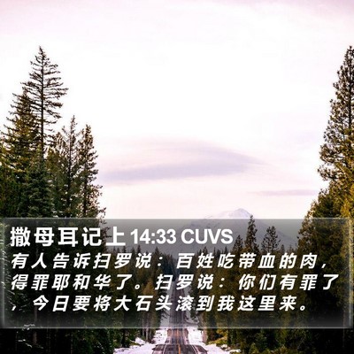 撒 母 耳 记 上 14:33 CUVS Bible Verse Image