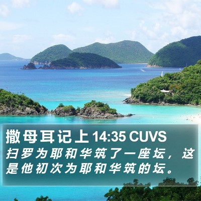 撒 母 耳 记 上 14:35 CUVS Bible Verse Image