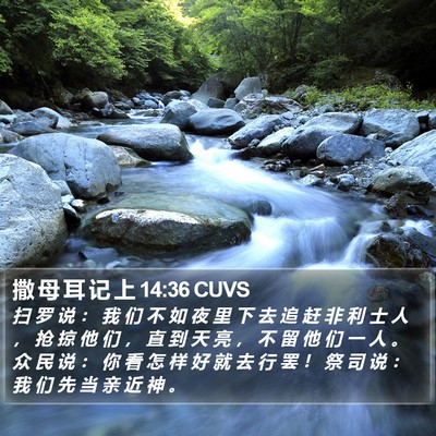 撒 母 耳 记 上 14:36 CUVS Bible Verse Image