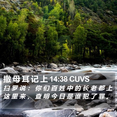撒 母 耳 记 上 14:38 CUVS Bible Verse Image
