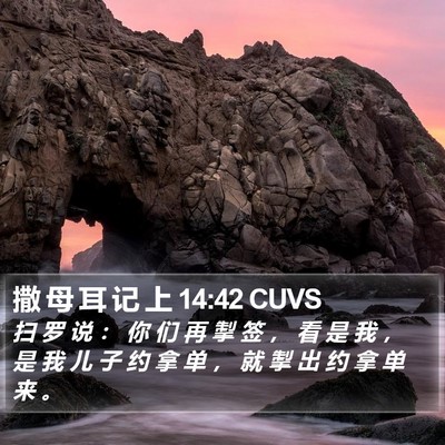 撒 母 耳 记 上 14:42 CUVS Bible Verse Image