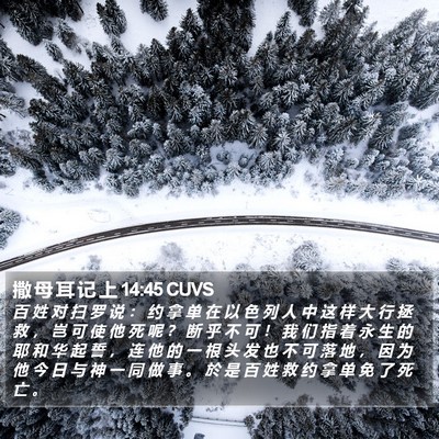 撒 母 耳 记 上 14:45 CUVS Bible Verse Image