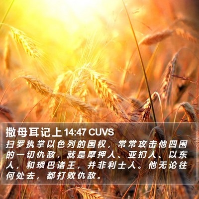 撒 母 耳 记 上 14:47 CUVS Bible Verse Image