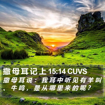 撒 母 耳 记 上 15:14 CUVS Bible Verse Image