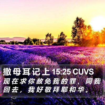 撒 母 耳 记 上 15:25 CUVS Bible Verse Image