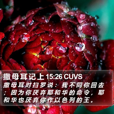 撒 母 耳 记 上 15:26 CUVS Bible Verse Image