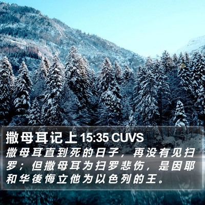 撒 母 耳 记 上 15:35 CUVS Bible Verse Image