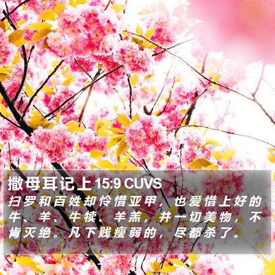撒 母 耳 记 上 15:9 CUVS Bible Verse Image