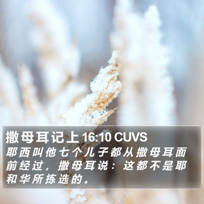 撒 母 耳 记 上 16:10 CUVS Bible Verse Image