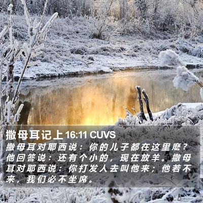 撒 母 耳 记 上 16:11 CUVS Bible Verse Image