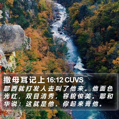 撒 母 耳 记 上 16:12 CUVS Bible Verse Image