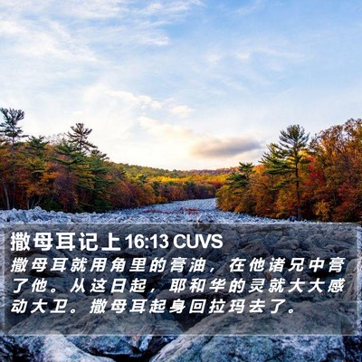 撒 母 耳 记 上 16:13 CUVS Bible Verse Image
