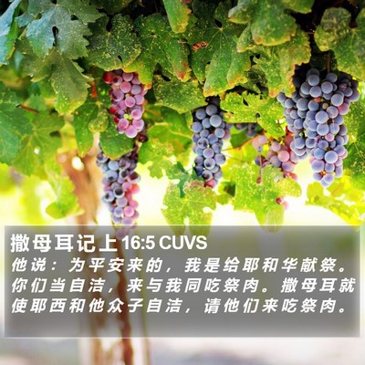 撒 母 耳 记 上 16:5 CUVS Bible Verse Image