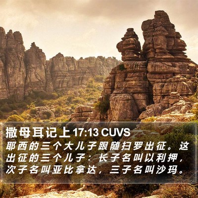 撒 母 耳 记 上 17:13 CUVS Bible Verse Image