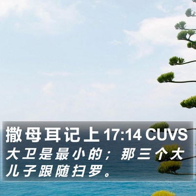 撒 母 耳 记 上 17:14 CUVS Bible Verse Image