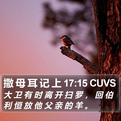 撒 母 耳 记 上 17:15 CUVS Bible Verse Image