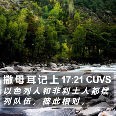 撒 母 耳 记 上 17:21 CUVS Bible Verse Image