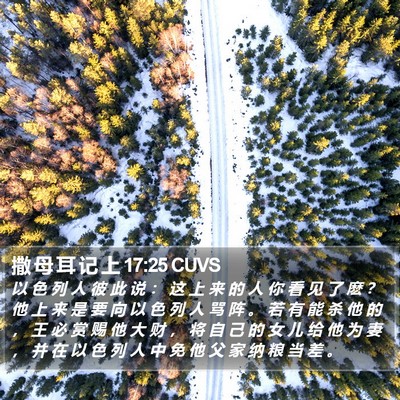 撒 母 耳 记 上 17:25 CUVS Bible Verse Image
