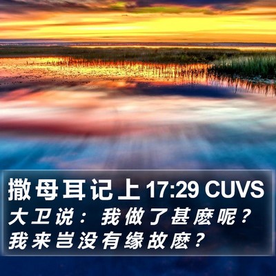 撒 母 耳 记 上 17:29 CUVS Bible Verse Image