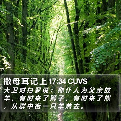 撒 母 耳 记 上 17:34 CUVS Bible Verse Image