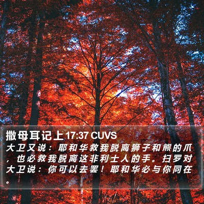撒 母 耳 记 上 17:37 CUVS Bible Verse Image