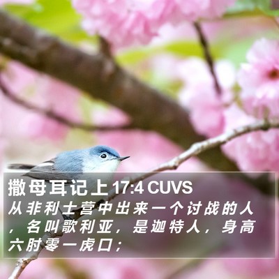 撒 母 耳 记 上 17:4 CUVS Bible Verse Image