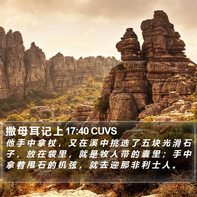 撒 母 耳 记 上 17:40 CUVS Bible Verse Image