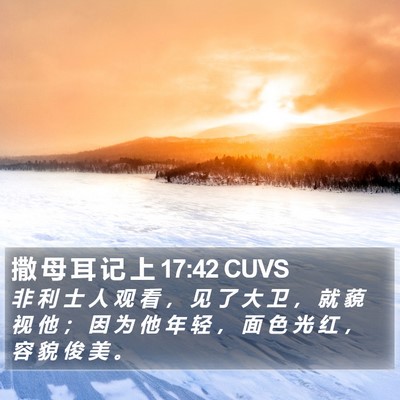 撒 母 耳 记 上 17:42 CUVS Bible Verse Image